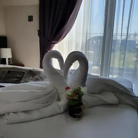 酒店 Family Novel 2*