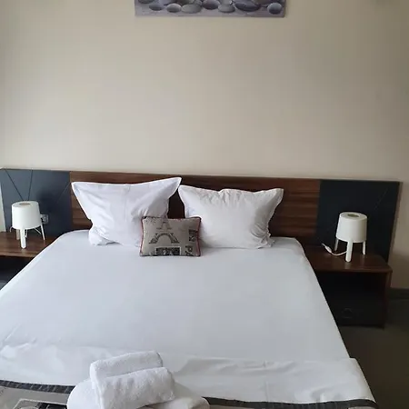 Hotel Family Novel