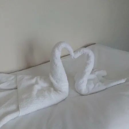 Hotel Family Novel